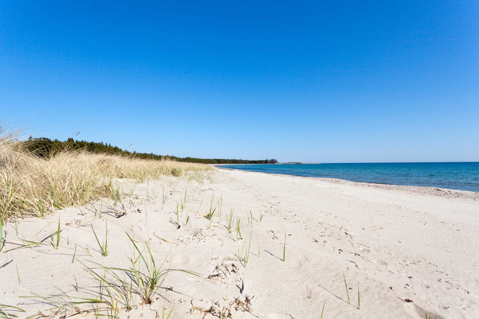 Beach Beach